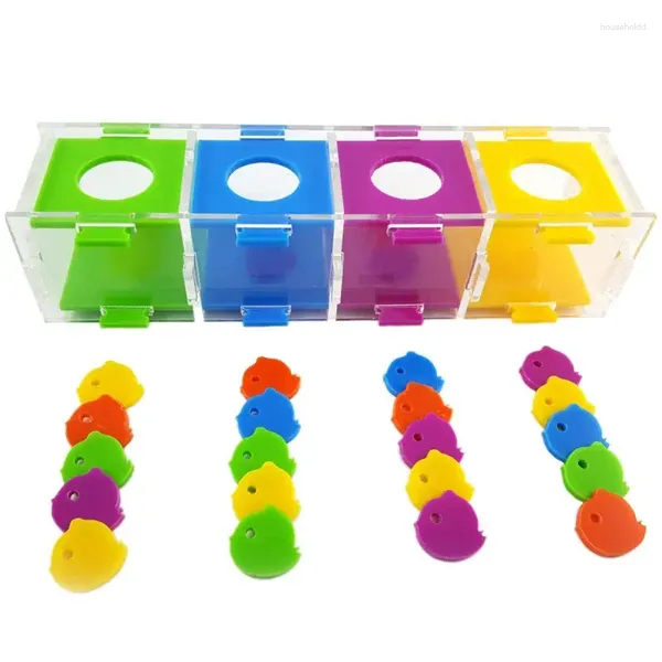 Outros suprimentos de pássaros Treinamento Toy Set Mini Desktop Coin Box para Papagaios Budgies Cockatiel Periquito