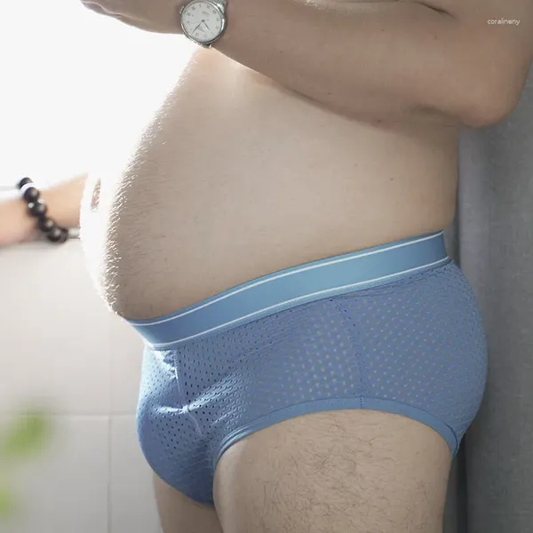 Cuecas masculinas novidade briefs pênis bolso em forma de u lingerie sexy tamanho grande shorts roupa interior calcinha de cor sólida