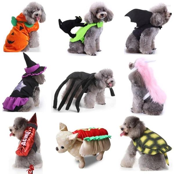 Abbigliamento per cani Costume per abbigliamento di Halloween per animali domestici Costume da pipistrello divertente Noodle Spider Costumi di zucca per gatti di piccola taglia