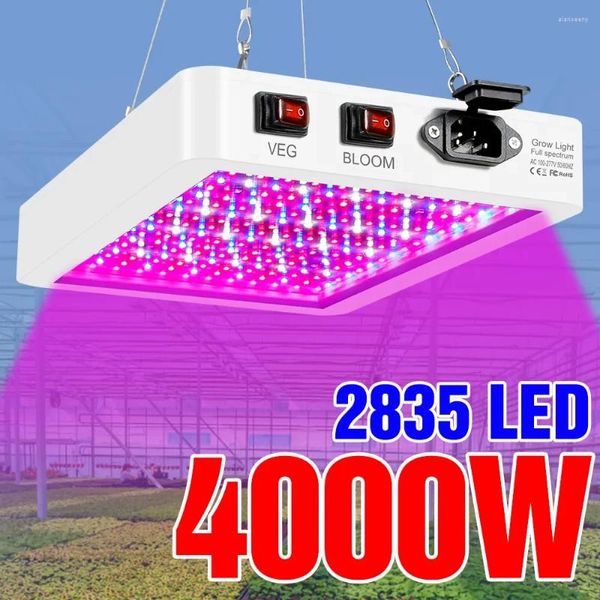Grow Lights Est 4000/5000W Spettro completo LED Growing Light IP65 Lampadine per piante Lampada idroponica Lampade per serra Crescita dei fiori Scatola di illuminazione