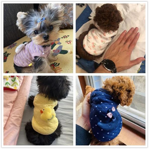 Vestuário para cães XXXS / XXS / XS Teacup Chihuahua Roupas Gatinho Casaco Filhote de Cachorro Com Capuz Gato Pijama Suéter Roupas para Yorkie Maltese Pequena Raça