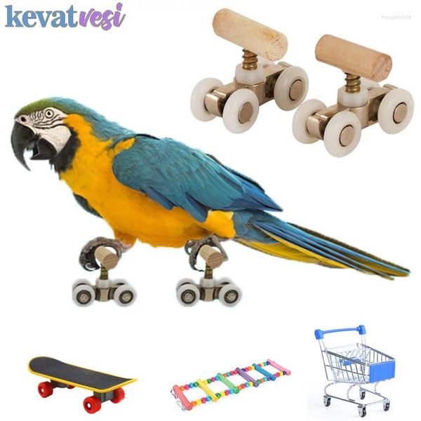 Outros suprimentos de pássaros brinquedos papagaio patins engraçado mini treinamento brinquedo periquito crescimento budgerigar inteligência gaiola acessórios