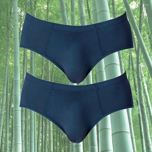Cuecas 2 pacotes respirável fibra de bambu homens roupa interior para pênis grande plus size cor sólida confortável calcinha masculina sexy 2024