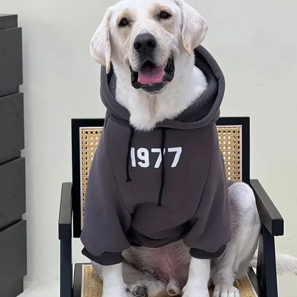 Hoodies roupas para cães de estimação outono inverno grande cão com capuz 1977 veludo moletom para cães retro roupas anti-queda para cães grandes traje