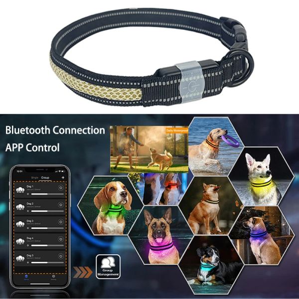 Coleiras nova coleira de cachorro luz bluetooth app controle carregamento usb reflexivo à prova dwaterproof água led coleiras luminosas para cães grandes segurança noturna