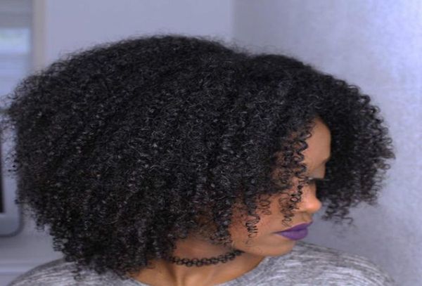 Schönheit brasilianisches Haar kurze Afro-Lockenperücke Simulation menschliches Haar kurze lockige Perücken auf Lager2688043