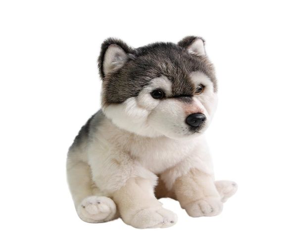 Dorimytrader Qualität weiche Simulation Tier Wolf Plüsch Puppe Mini ausgestopfte Husky Hund Spielzeug Haustier Tiere Kinder Geschenk 27x16x24cm DY501208840372