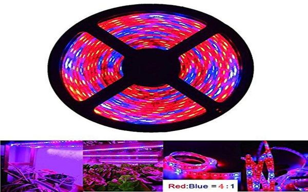 Umlight1688 planta cresce a luz 5050 smd led planta luzes de tira lâmpada crescimento interno 164ft à prova dwaterproof água flexível corda macia light4737801