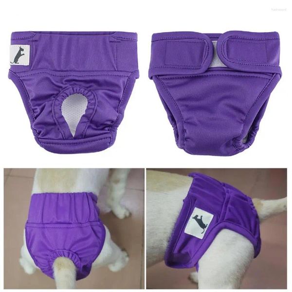 Abbigliamento per cani Pantaloni fisiologici per animali domestici Pannolino confortevole a prova di perdite per periodi mestruali Nastro di fissaggio per vasino per incontinenza