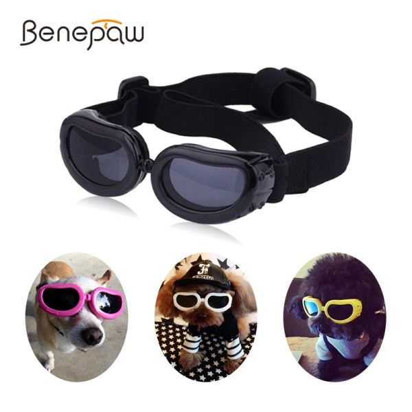 Accessori Benepaw Occhiali da sole per cani con protezione UV Comodi occhiali antiappannamento per animali domestici Occhiali per cuccioli di gatto con fascia elastica per cani di piccola taglia media