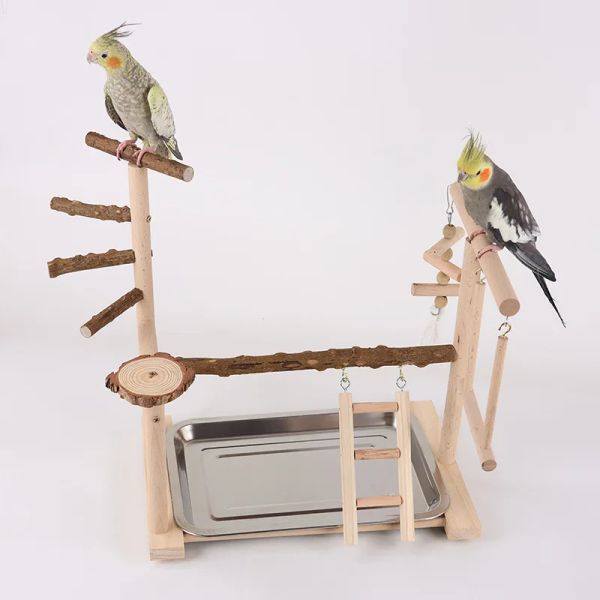 Brinquedos de balanço de pássaros, pimenta, papagaio de madeira, suporte de jogo, campo de treinamento interativo, prateleira de pássaros, escada de playground de pássaros