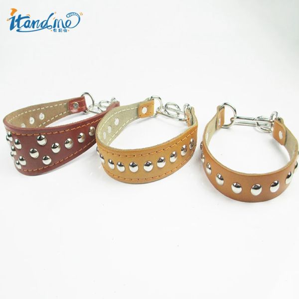 Collari Collare per levrieri popolare e popolare Collana di collari per addestramento per cani con collare in pelle di mucca con borchie per cani di piccola taglia Accessori per cuccioli