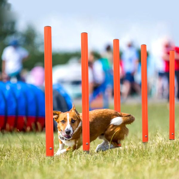 Ausrüstung Hundetrainingsprodukt Ausrüstung Tragbares Hunde-Sprungwerkzeug Outdoor-Hunde Laufpfahl Sportpfähle Stange Agility-Ausrüstung für Haustiere