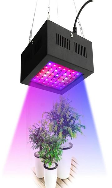 Yeni 80W LED Grow Light 42leds IP66 İç Mekan Hidroponik Sistem Bitki Sera Çiçeklenme ve Büyüyen Hafif Büyüyen 7231279