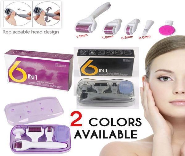 Drs Dermaroller Sistemi 6 in 1 Titanyum Derma Roller Skar Yüz Fırçası Mikro İğne Tedavisi Cilt Bakım Kit7692201