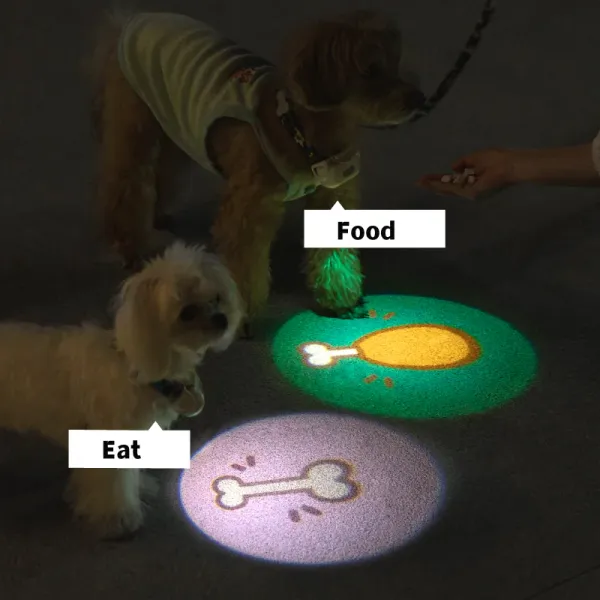 Collari Mewoofun 6 modalità luci per cani per passeggiate notturne Bella lampada per proiettore sociale Lampada per collare per cani a LED Lampada da passeggio per cani impermeabile