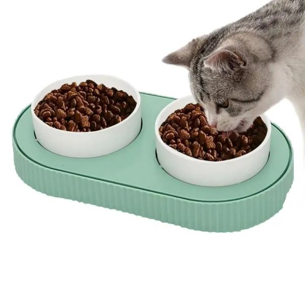 Supplies Elektrisch beheizter Futternapf für Katzen und Hunde, Thermo-Keramik-Futternapf für Haustiere, konstante Temperatur, beheizter Wassernapf