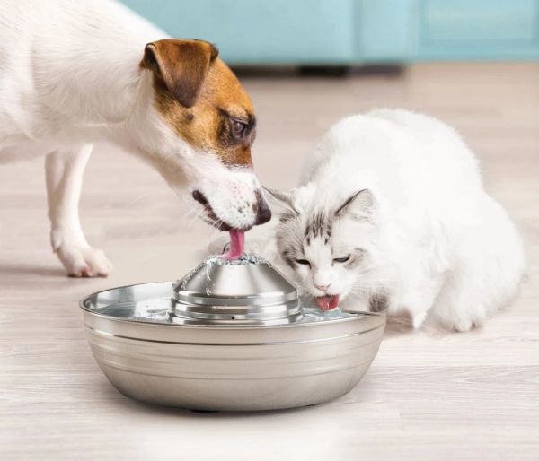 Gaiolas fonte de água gato aço inoxidável cão de estimação bebedouro para gatos cães pequenos 2l ultrasilencioso fontes automáticas bebedor do cão