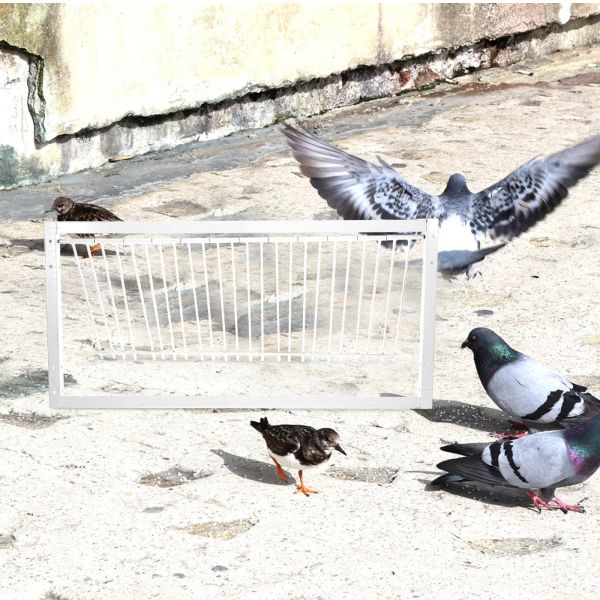 Nests Taubenfangen Türpaare Türpaare Fallen Vogelfallen Tauben Loft Tür Taube Tür Drahtstangen Rahmen Eingang T -Fallen Taubenvögel