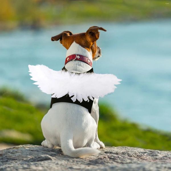 Cão vestuário bonito anjo cinta peito para cães arreios moda pet torácico dorsal pequeno e gatos traje suprimentos filhote de cachorro acessórios