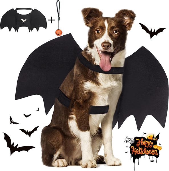Halloween fofo engraçado morcego de animais de estimação de asas de asas de cão cachorro pequeno cachorro asas de cão de transformação roupas de transformação