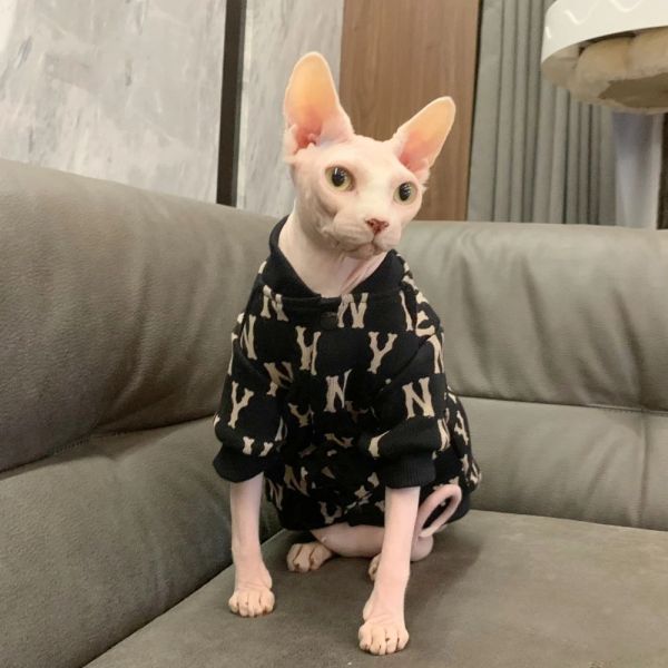 Kleidung Baseballuniformen für Katzen, Sphynx-Katzenkleidung im Herbst, modische Baumwolljacke für Kätzchenhunde, langärmliger Mantel für Devon Rex