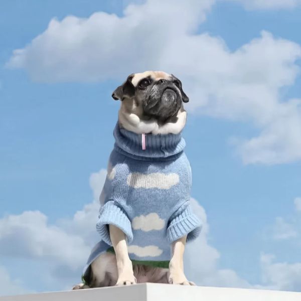 Suéter branco nuvem suéter roupas para animais de estimação cães tricô para roupas de cachorro traje buldogue francês estampa fofo outono inverno azul menino mascotas