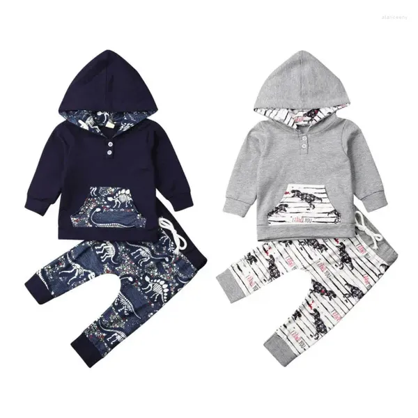 Kleidungssets, niedliche Dinosaurier, für Kleinkinder, Babys, Kinder, Jungen, Kleidung, langärmelig, mit Kapuze, Oberteile und Hosen, 2-teiliges Outfit, 0–4 Jahre