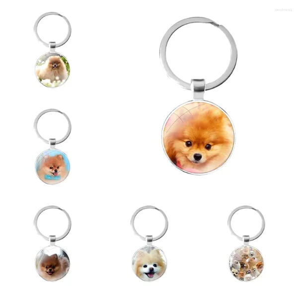 Portachiavi Cani Pomerania Cane Cabochon in vetro Portachiavi Portachiavi per auto Regali con ciondoli