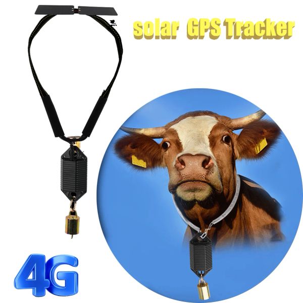 Tracker Localizzatore GPS per mucche animali 4G con energia solare Localizzatore per bovini, cavalli e pecore Dispositivo di localizzazione GPS antiperso per localizzatore di bestiame per cammelli