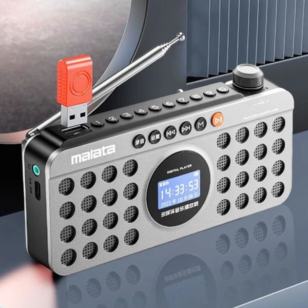 Altoparlanti portatili FM Radio 70108MHz Ricevitore radio Mini Registratore di altoparlanti Bluetooth con display LED Display Batteria ricaricabile TF Play USB