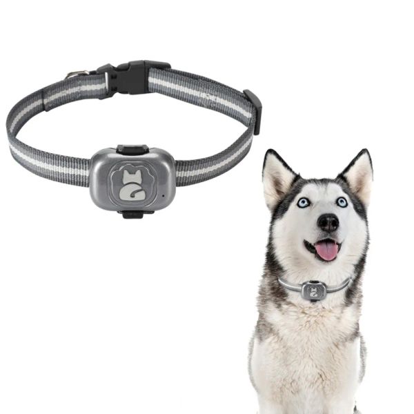 Trackers 4g GPS-Tracker für Hunde Locator Wasserdichtes Anti-Lost-Gerät Smartphone-Objektfinder Kleiner Alarm Haustier-Anti-Diebstahl-Gerätehalsband