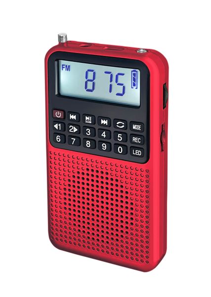 Radio EONKO L628 Bluetooth FM-Radio mit TF-Kartensteckplatz, Diktiergerät, Taschenlampe, LED-Licht, Kopfhöreranschluss, wiederaufladbarer Akku