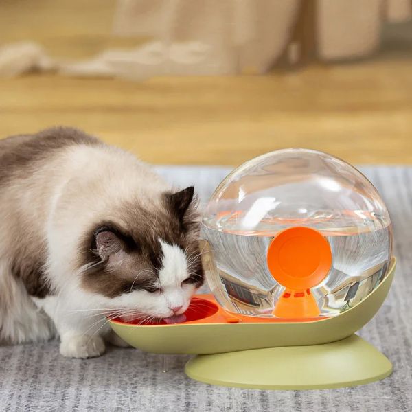 Поставки улитки пузырьковые кошки с водой.