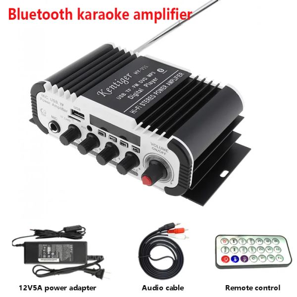 Altoparlanti Kentiger HYV11 con cavo di alimentazione e AV 12V5A amplificatore Bluetooth USB TF FM AUX dac microfono da 6,5 mm altoparlante karaoke amplificatore