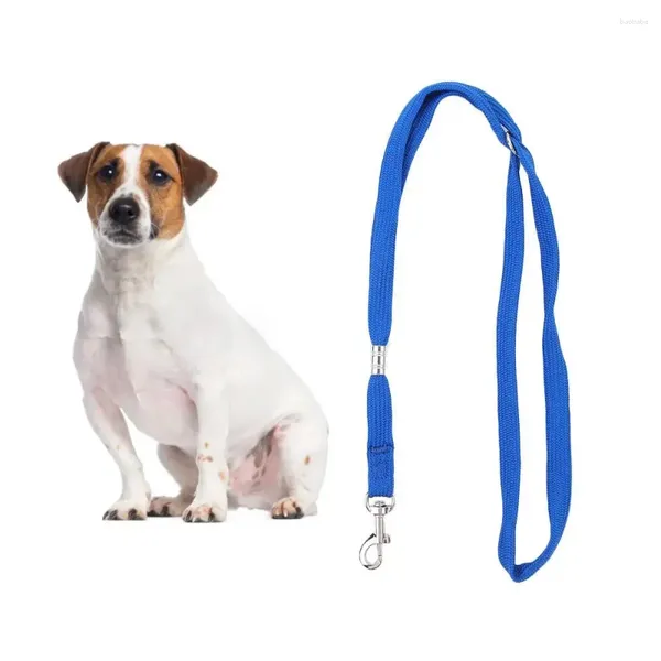 Coleiras para cães, durável, coleira de segurança para cachorros, clipe de corda, para aliciamento, contenção de mesa, trava de laço para animais de estimação, acessórios para cães