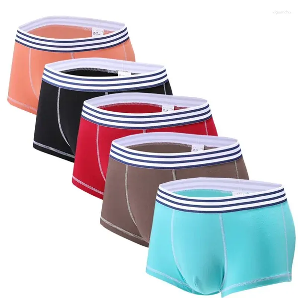 Unterhosen 5 teile/los Boxer Mann Grundlegende Herren Höschen Spandex Baumwolle Kurze Bunte Shorts Boxer Unterwäsche