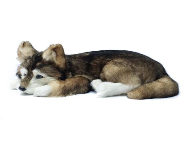 Dorimytrader animal realista husky brinquedo de pelúcia recheado macio simulação cão de estimação cães decoração presente 36x25x14cm dy800078104106