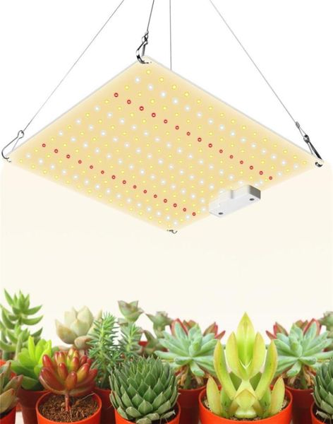 LED Grow Light 600W LM301B Full Spectro Phyto Lamp para plantas de interior Veg Flowers Hydroponics System4873283