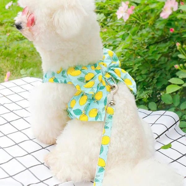 Cão vestuário pequeno arnês trela pet conjunto elegante vestido de tecido de malha com para cães gatos super