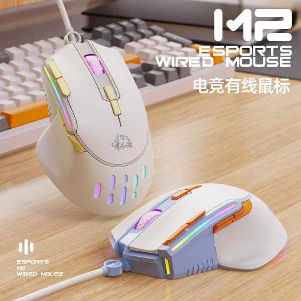 Ratos ZUYOULANG M2 Gaming Mouse Wired 9 teclas brilham 12800DPI macro Definir mouse personalizado ergonomia Home laptop esports game