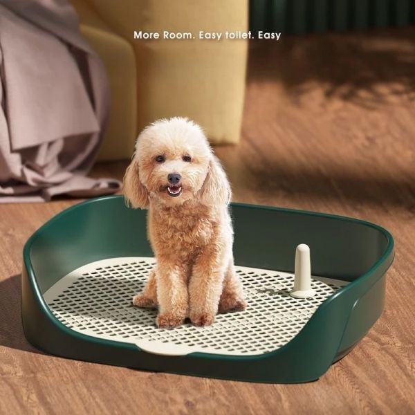 Caixas portátil Pet Toliet Training Plastic With Pillar Tonete Treinamento de tapete Potty Dog Pad Treinamento Treinamento de Treinamento Urinário Prave de Pee