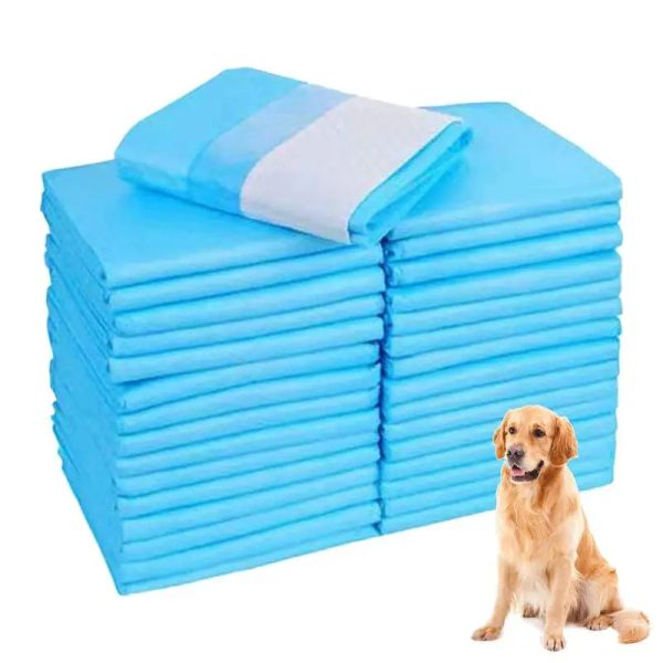 Fraldas 50/100 pcs super absorventes cães gatos fraldas de fraldas treinamento para cães xixi almofadas grossas desodorantes de cachorro