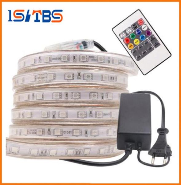 10m50m 110v220v yüksek voltajlı SMD 5050 RGB LED şeritler Işıklar Su Geçirmez IR IR uzaktan kumanda gücü kaynağı 4051643