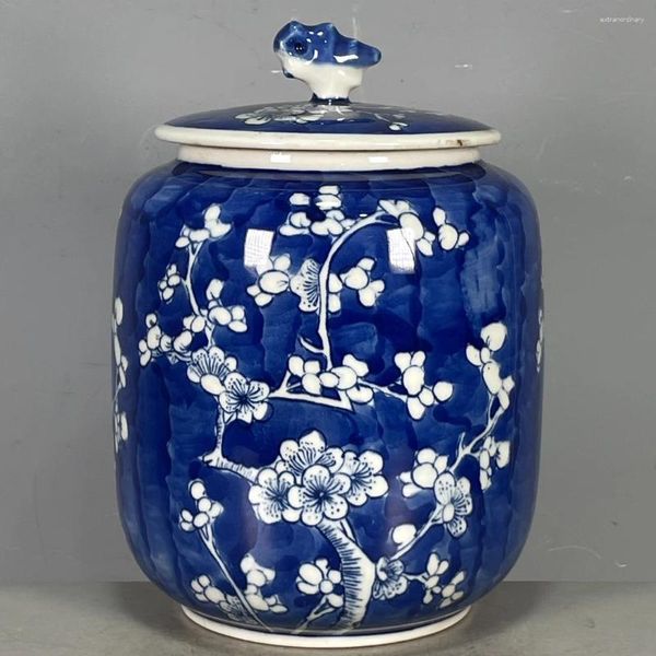 Vasi Soggiorno Camera da letto Decorazione Fabbrica di porcellana Jinguo Vaso con coperchio di prugna ghiacciata blu e bianco Colle antico