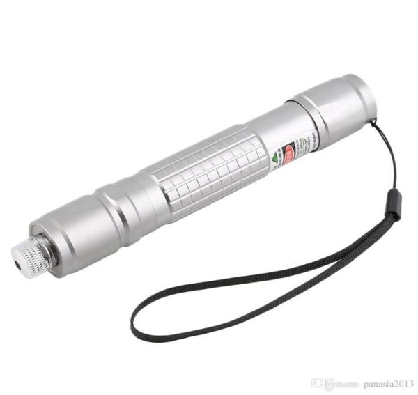 Neue Ankunft Professionelle Wasserdicht Grün Licht Laserpointer Silber Schwarz Körper Laser als SD 303 Laser Sichtbaren Strahl whol7760636