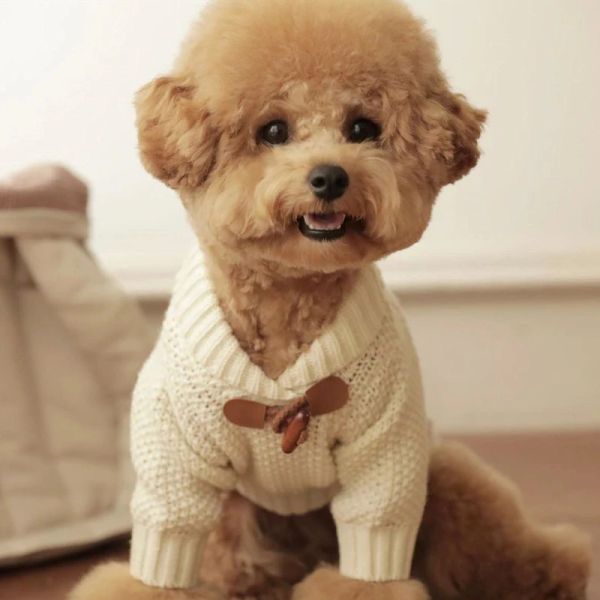 Sweaters Pet Köpek Giysileri Sonbahar Kış Kış Küçük Tasarımcı Köpek Örme Yün Sweater Sıcak Yavru Kedi Köpek Moda HARDIGAN Chihuahua Yorkshire Pug