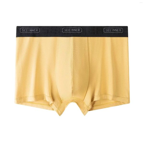 Mutande Boxer classici da uomo Tessuto modale Design senza cuciture Cintura antisfregamento Colori multipli