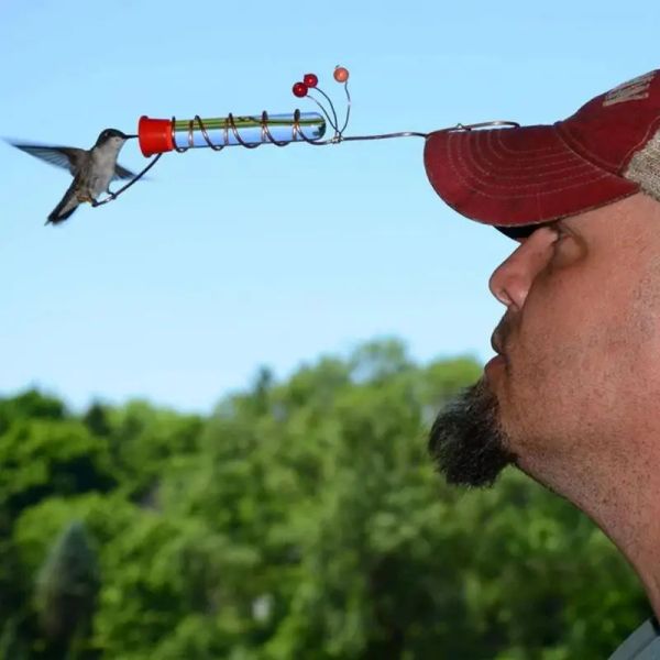 Alimentazione Cappello per mangime per colibrì Materiale di alta qualità Cappello distinto Alimentatore per colibrì Tenuto in mano Facile da usare Regalo perfetto per gli amanti degli uccelli