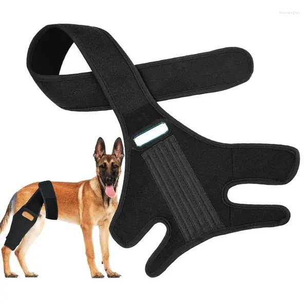 Abbigliamento per cani Ginocchiere Cinghie per gambe Accessori Cintura di supporto regolabile per cani per gambe di recupero da lesioni articolari